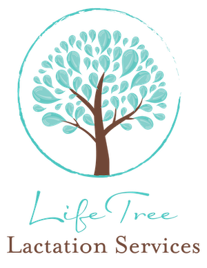 Nikole Keller, IBCLC of LifeTree Lactation and Infant Feeding